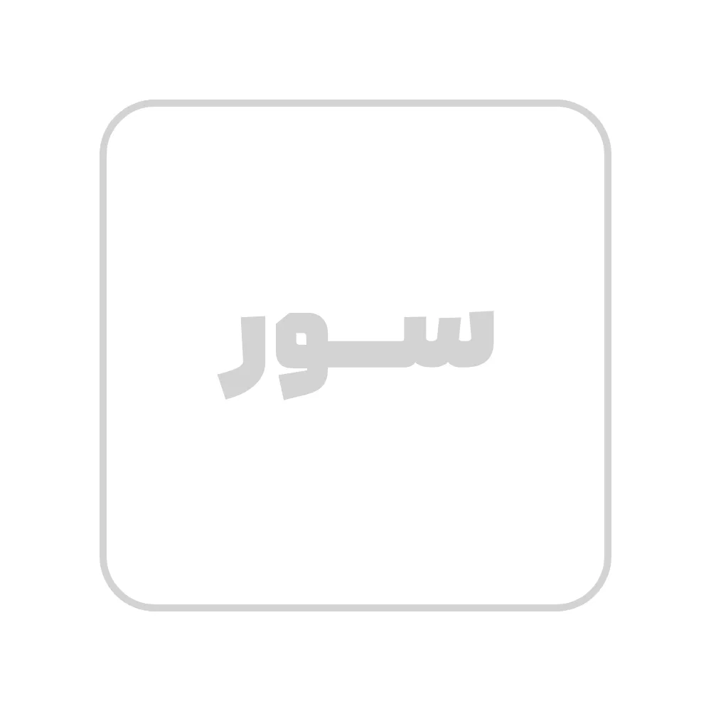 پاور استیشن اکوفلو 300 وات ظرفیت 245 وات ساعت مدل RIVER 3 UPS